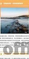 丹麦 世界杯战绩-丹麦队，世界杯舞台上的北欧神话