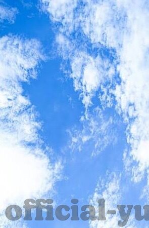 足球比分软件可以互动-足球比分软件，互动新体验，点燃球迷激情